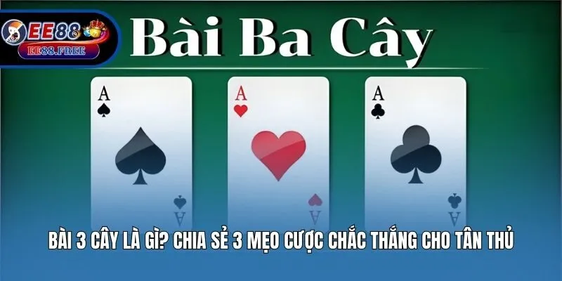 Bài 3 Cây Là Gì? Chia Sẻ 3 Mẹo Cược Chắc Thắng Cho Tân Thủ