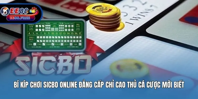 Bí Kíp Chơi Sicbo Online Đẳng Cấp Chỉ Cao Thủ Cá Cược Mới Biết