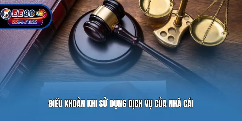 Điều khoản khi sử dụng dịch vụ của nhà cái