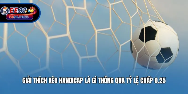 Giải thích kèo Handicap là gì thông qua tỷ lệ chấp 0.25