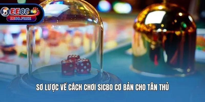 Sơ lược về cách chơi Sicbo cơ bản cho tân thủ