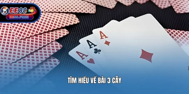 Tìm hiểu về bài 3 cây